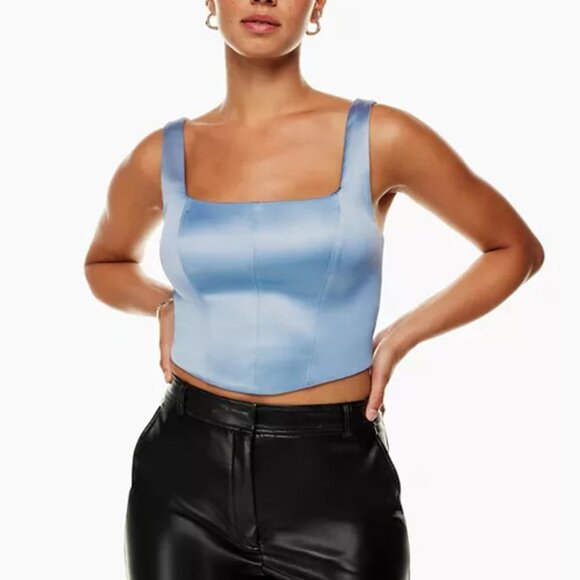 Aritzia Ten by Babaton (L) ELEVATE Square-neck Bustier Silver Princess Top - Picture 6 of 7